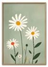 Field of Daisies Massiv Eg