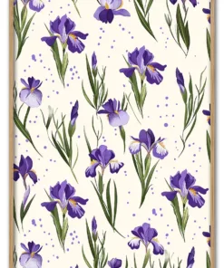 Iris Rythm Massiv Eg