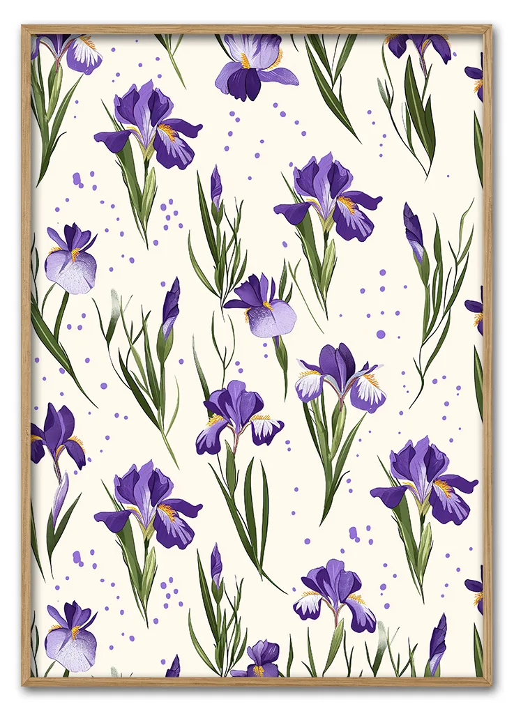 Iris Rythm Massiv Eg Iris Rythm Massiv Eg