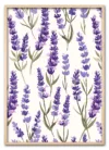 Lavender Rythm Eg Lavender Rythm Eg