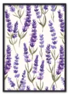 Lavender Rythm Sort Lavender Rythm Sort