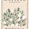 Matisse Botanical Collage Eg