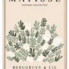 Matisse Botanical Collage Eg