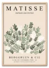 Matisse Botanical Collage Eg