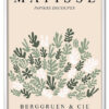 Matisse Botanical Collage Hvid