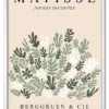 Matisse Botanical Collage Hvid