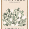 Matisse Botanical Collage Massiv Eg