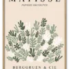 Matisse Botanical Collage Massiv Eg