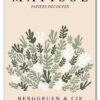 Matisse Botanical Collage Plakat