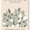Matisse Botanical Collage Plakat