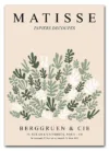 Matisse Botanical Collage Plakat