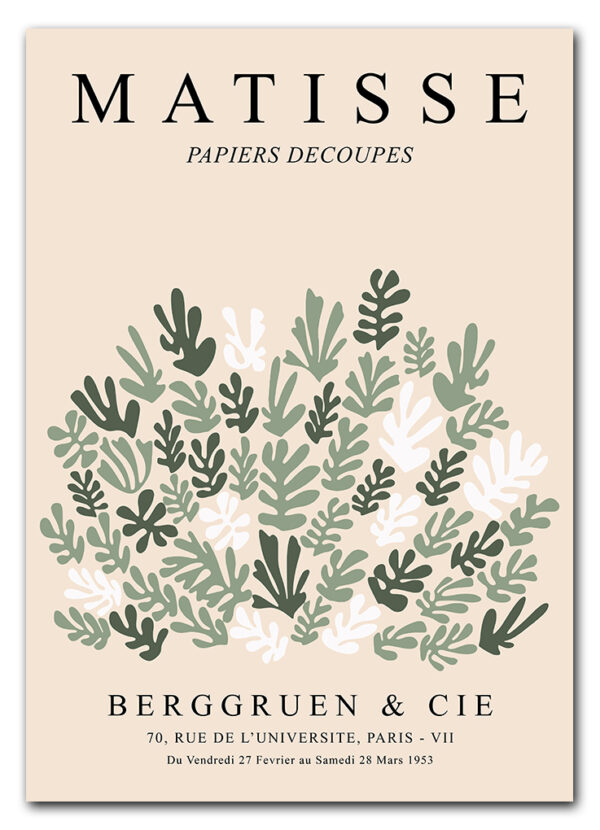 Matisse Botanical Collage Plakat