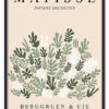 Matisse Botanical Collage Sort