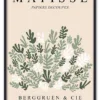 Matisse Botanical Collage Sort