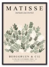Matisse Botanical Collage Sort
