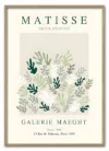 Matisse Botanical Form No. 02 Massiv Eg