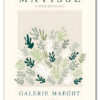 Matisse Botanical Form No. 02 Plakat