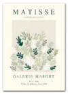 Matisse Botanical Form No. 02 Plakat