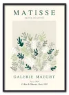 Matisse Botanical Form No. 02 Sort
