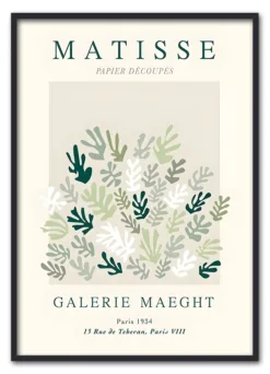 Matisse Botanical Form No. 02 Sort