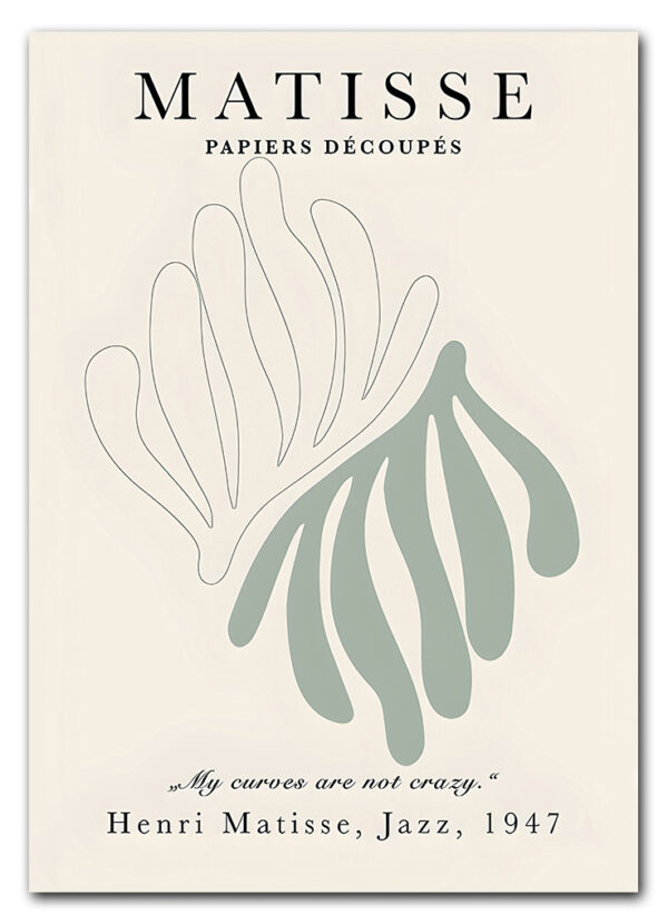 Matisse Botanical Form No. 03 Plakat