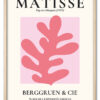 Matisse Coral Form No. 01 (Pink Series) Eg