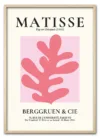 Matisse Coral Form No. 01 (Pink Series) Eg Matisse Coral Form No. 01 (Pink Series) Eg
