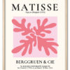 Matisse Coral Form No. 02 (Pink Series) Eg