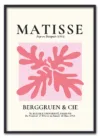 Matisse Coral Form No. 02 (Pink Series) Sort
