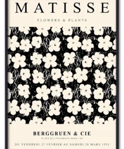 Matisse Flowers & Plants No. 03 Sort