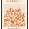 Matisse The Cut Outs No. 01 Sort