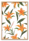 Tiger Lily Display Eg