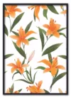 Tiger Lily Display Sort
