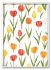 Tulip Composition Hvid