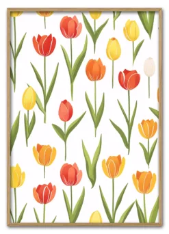 Tulip Composition Massiv Eg