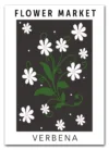 Print Print