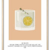 MOJITO 41
