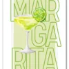 MOJITO 102