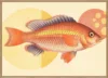 A Retro Fish