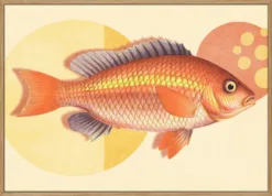 A Retro Fish