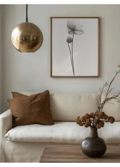 Alternative view of Anemones