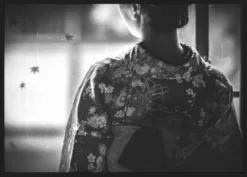 Alternative view of Autumn