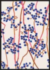 Berry Summer_Sort