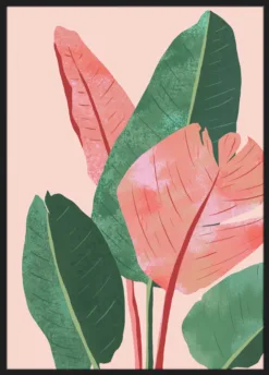 Alternative view of Blush Tropical