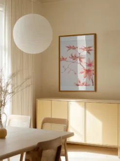 Alternative view of Branch of Momiji Maple Tree With Leaves and Seed