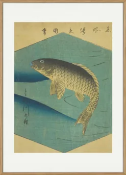 Carp In the Tone River