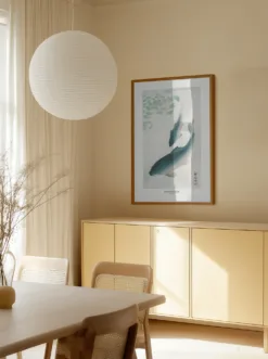 Alternative view of Carp Or Koi