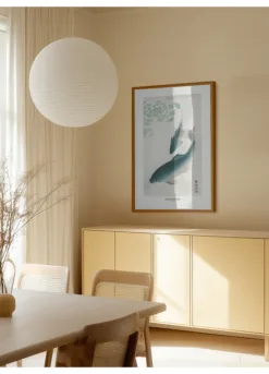 Alternative view of Carp Or Koi