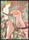 Cockatoos_Sort