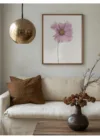 Cosmos flower_Int1